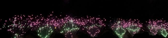 はなびっぴ's header image