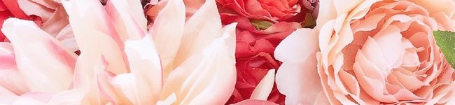 aki_oto's header image