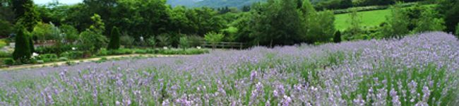 *さな*'s header image