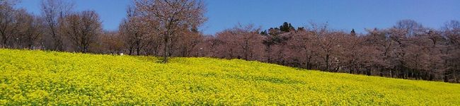 ちょこん太's header image