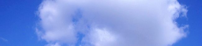 rururubeer's header image