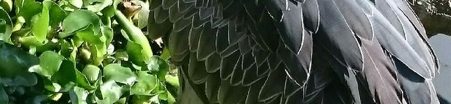 boo0224's header image