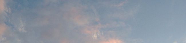 shooky's header image