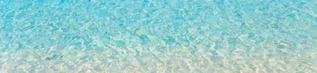 icucook's header image