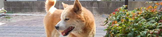 のんち★´ω｀'s header image