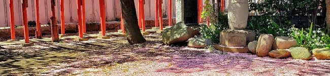 Hiroの台所's header image