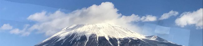 さくランチ's header image