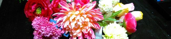 DORA＊DORA's header image