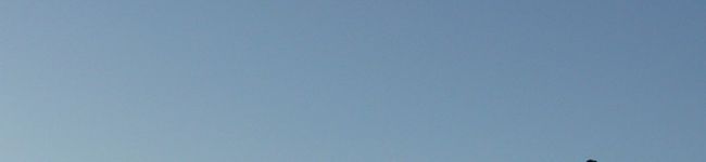 なぎ25's header image