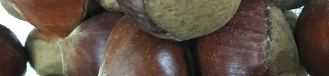 タミーゴ's header image