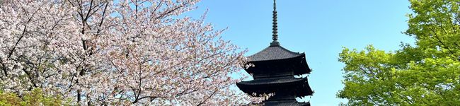天の河のくいしん坊's header image
