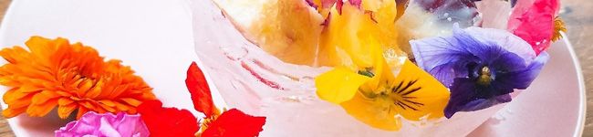 食育♡中村詩織's header image