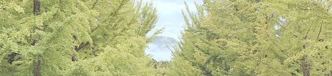 kaahochiii's header image