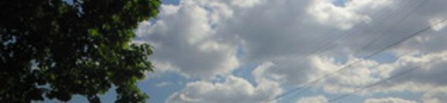 にゃりんマム's header image