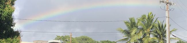 ウクレレおじさん♪'s header image