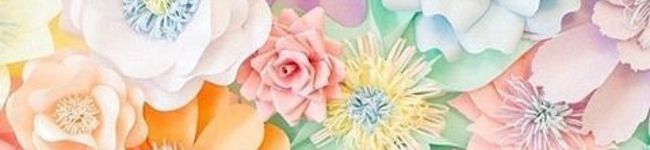 ajgpdwttp's header image