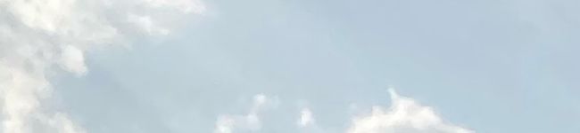 くまのこʕ•ᴥ•ʔ's header image