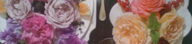 chiるko's header image