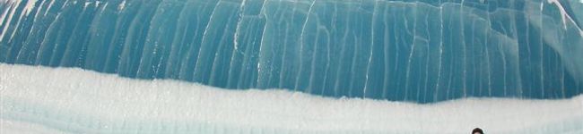 maricopsy's header image