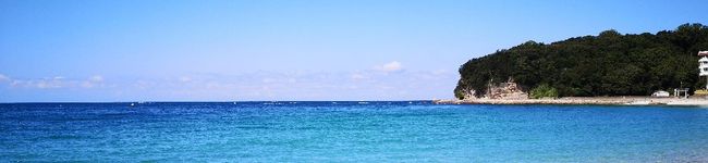 イワシのヨメ's header image