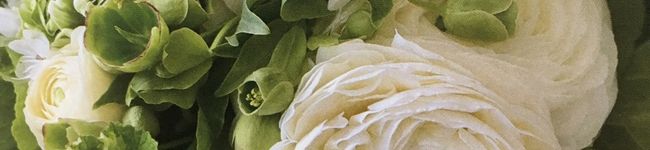 くぅ。's header image