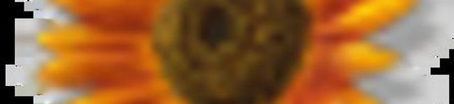 zaipyon's header image