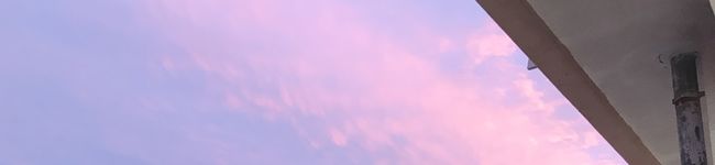 ✿きなこ❀'s header image