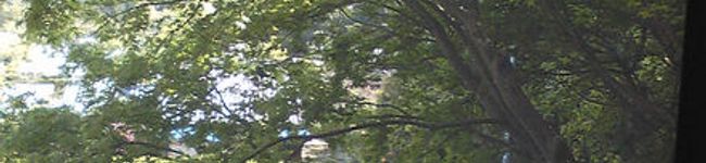 izumiru's header image