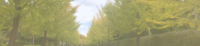 ゴマチーズ's header image