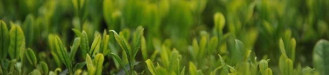 クックW86GLS☆'s header image