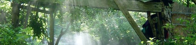 nessy♪'s header image