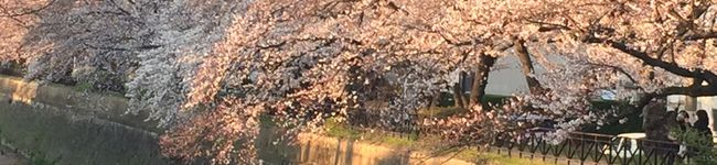 Ponta0626's header image