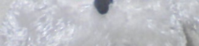 河原癒希's header image