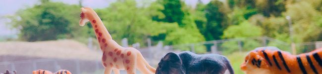 わちげん's header image
