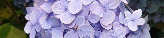 tami0926's header image