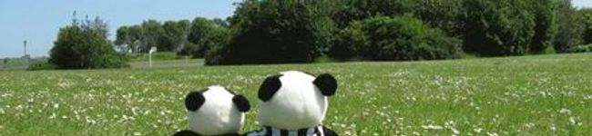 m.lee's header image