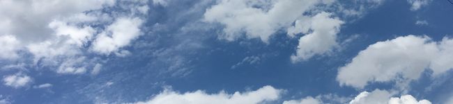 ぬぬまり's header image