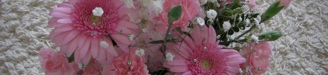 myu-to's header image