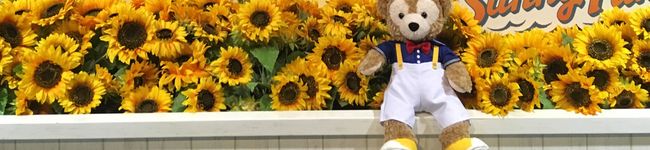 まなキッチン☆'s header image