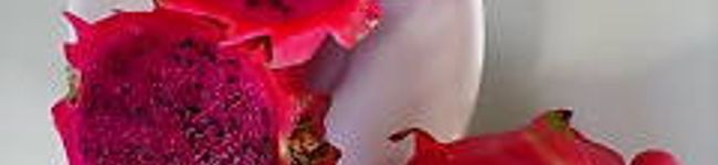 kanamicat's header image