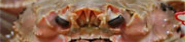 n_yahata's header image