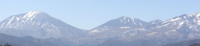 ネコ大将's header image