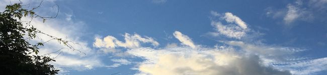 アクティー☆€€€€'s header image