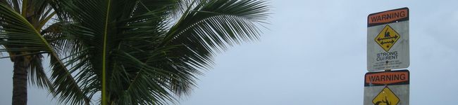 ブウディ's header image