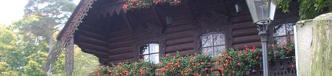 Musikerin's header image