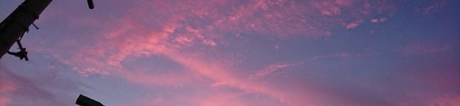 ここにこゆき's header image