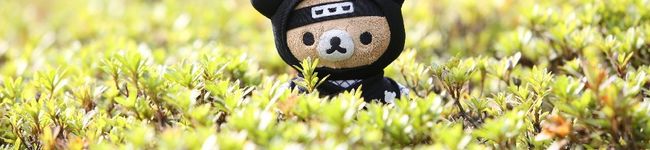 くまゆplants's header image