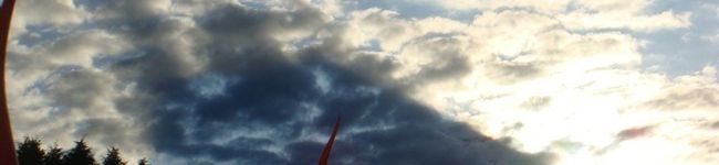 さとみ0807's header image