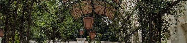 ズボラウサギまま's header image