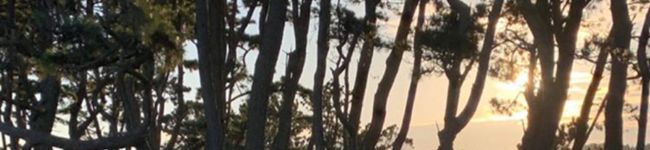 Mia_CA's header image